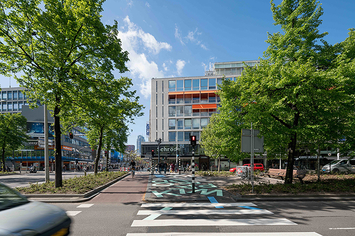 crosswalk 6.jpg