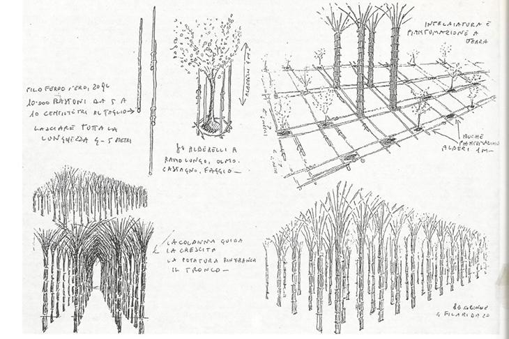 Botanically Inspired Design 12.jpg