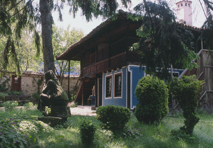 bukoprivstica4.jpg