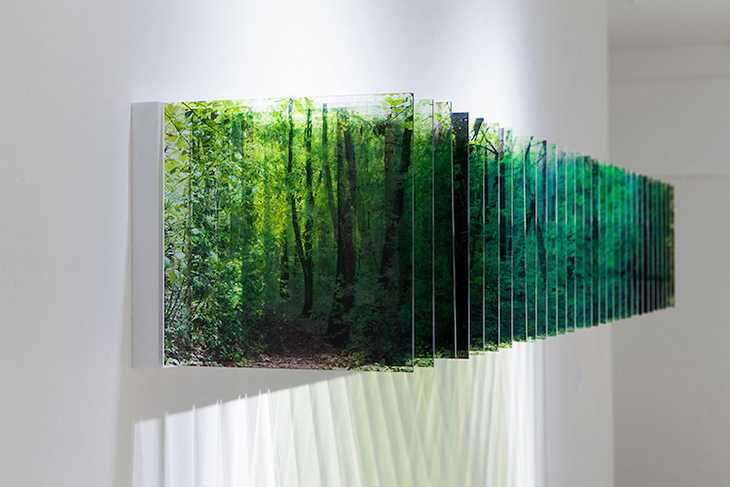 Acrylic Landscape 1.jpg