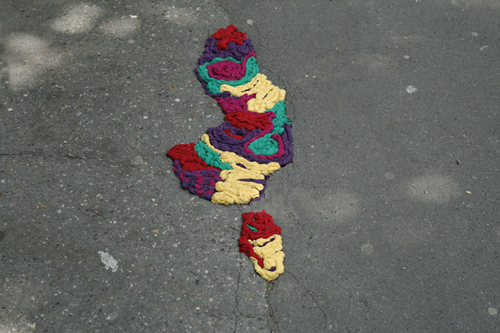 Pothole Flowers 14.jpg