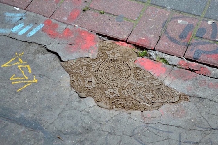 Pothole Flowers 15.jpeg