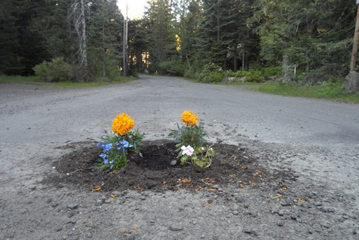 Pothole Flowers 7.jpg
