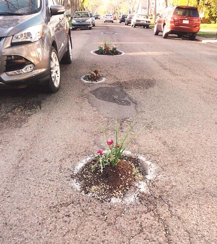 Pothole Flowers 8.jpg