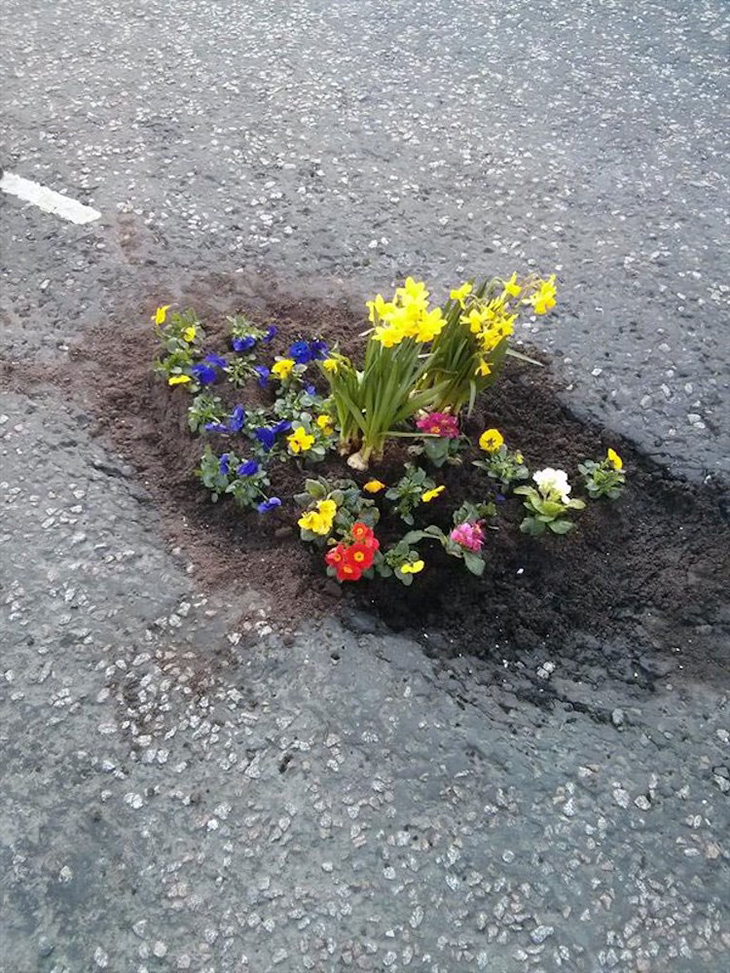 Pothole Flowers 9.jpg