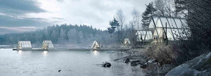 stedsans in the woods 1.jpg