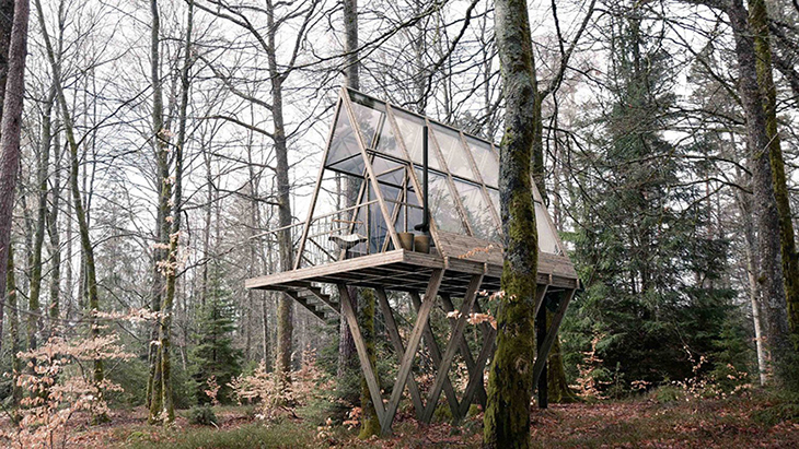 stedsans in the woods 2.jpg