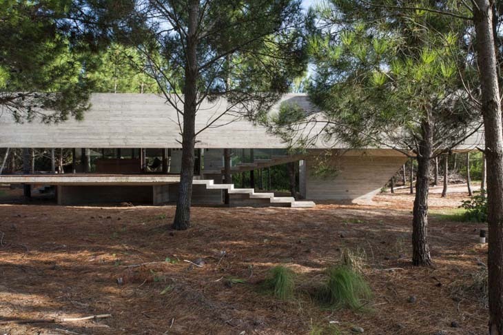 domus-casa-sj-000.jpg
