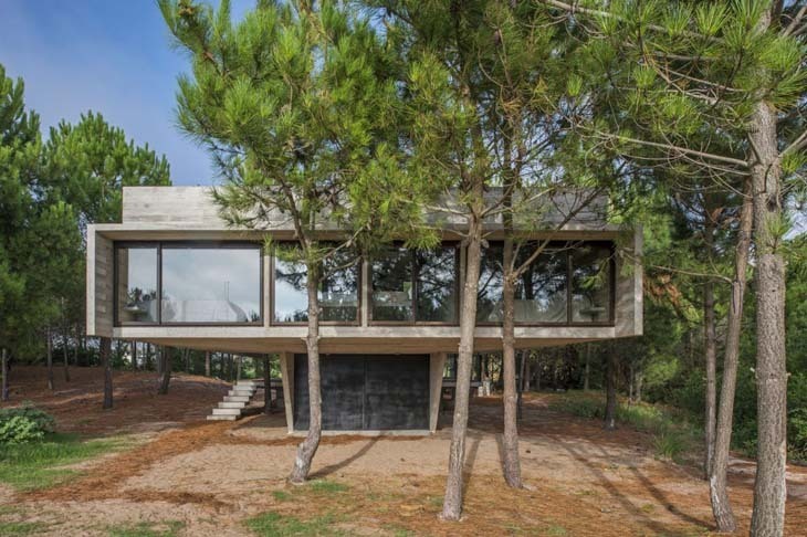 domus-casa-sj-01.jpg