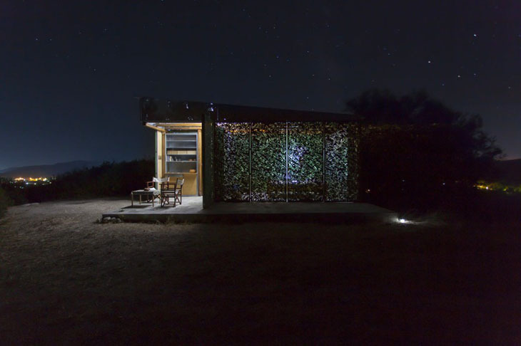 domus-olive-tree-house-10730.jpg