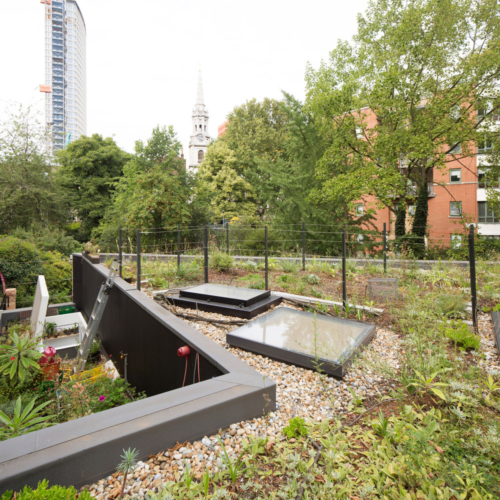 The Phoenix Garden Community Building 15.jpg