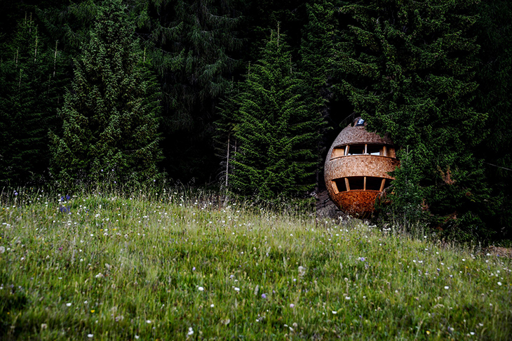 pinecone-tree-house-2.jpg