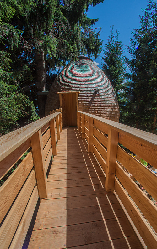 pinecone-tree-house-4.jpg