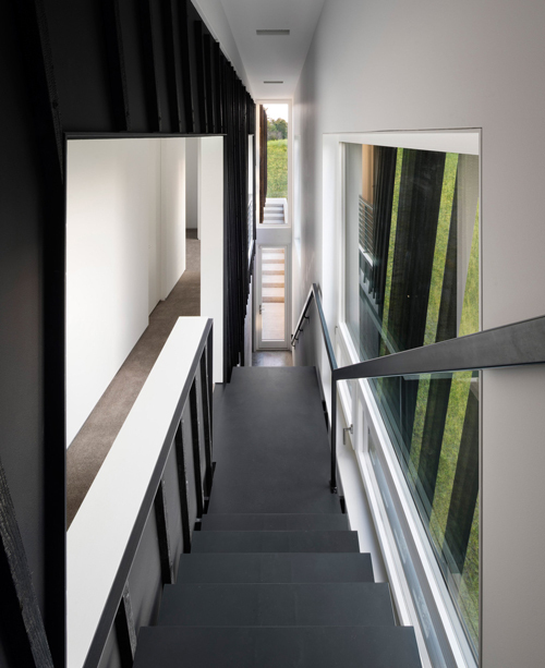 sleeve-house-8copy.jpg