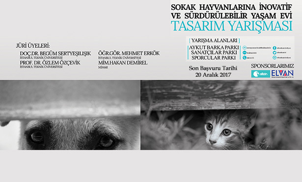 sokakhayvanlari.jpg