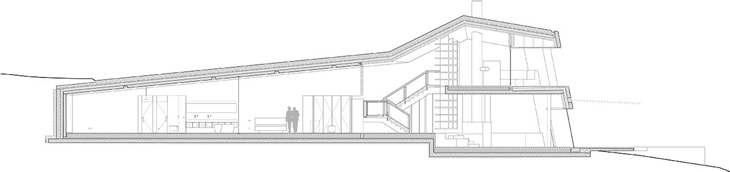section.jpg