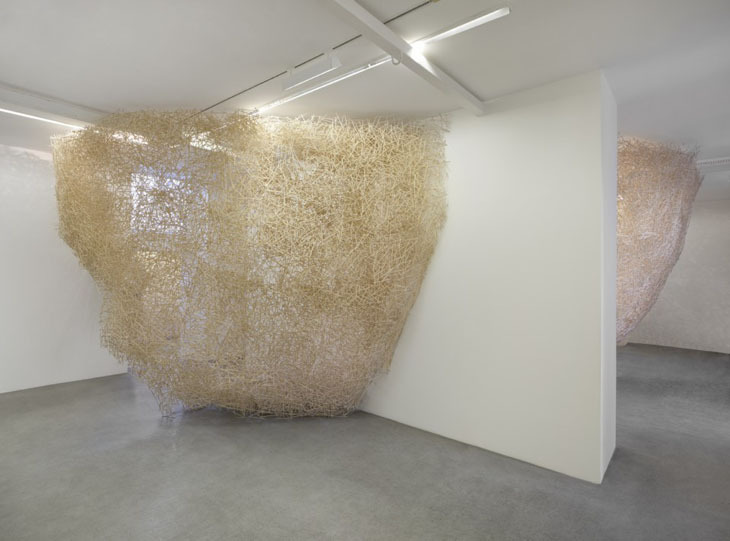 1_nest (2).jpg