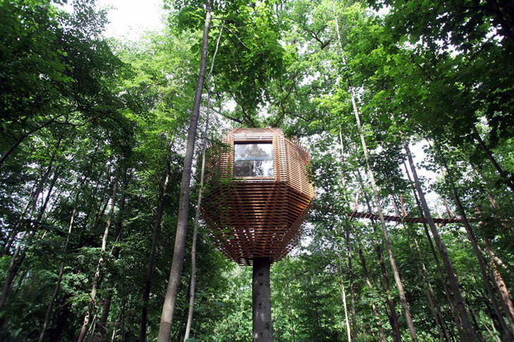 atelier-LAVIT-origin-tree-house-raray-france-designboom-01730.jpg