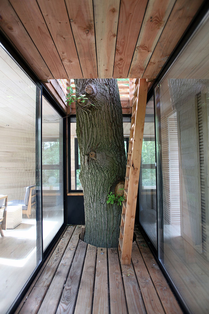 atelier-LAVIT-origin-tree-house-raray-france-designboom-04730.jpg