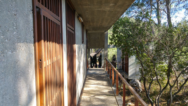 20180130_140325_HDR.jpg