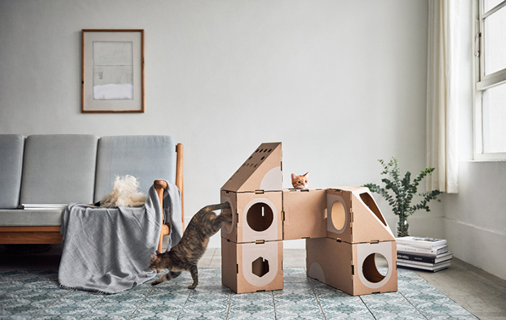 cat_thing_4.jpg