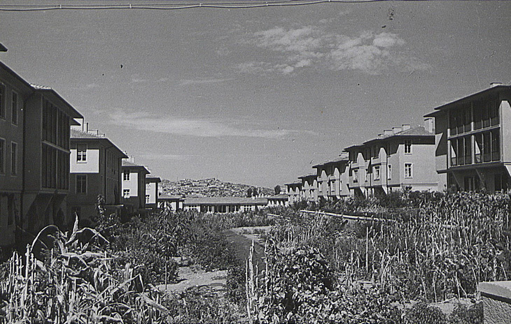 saracoglu04.jpg