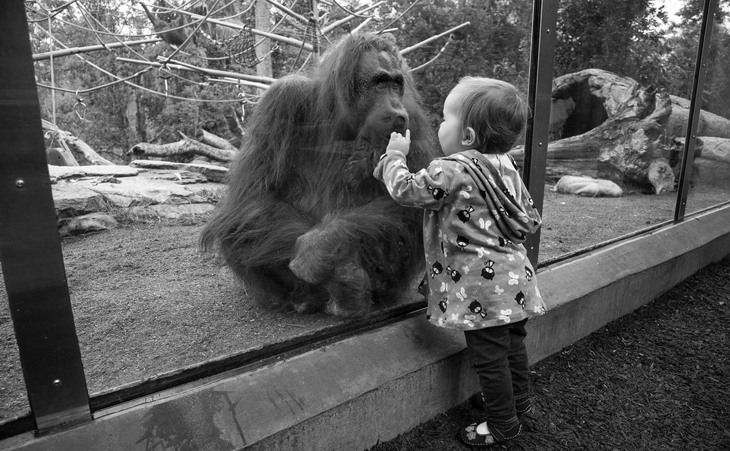 san-diego-zoo-3-bn_orig.jpg