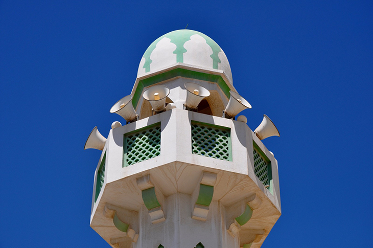 Image 1.jpg