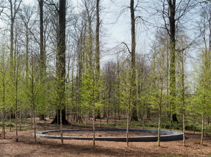 finalist18_6.JPG