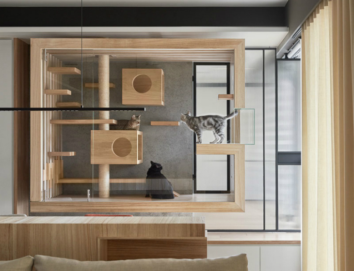 glass_and_wood_cat2.jpg