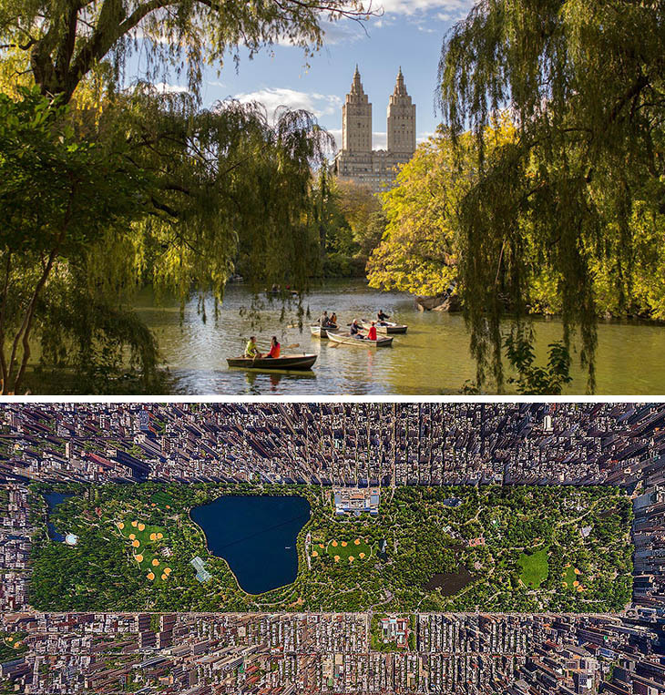 centralpark1.jpg
