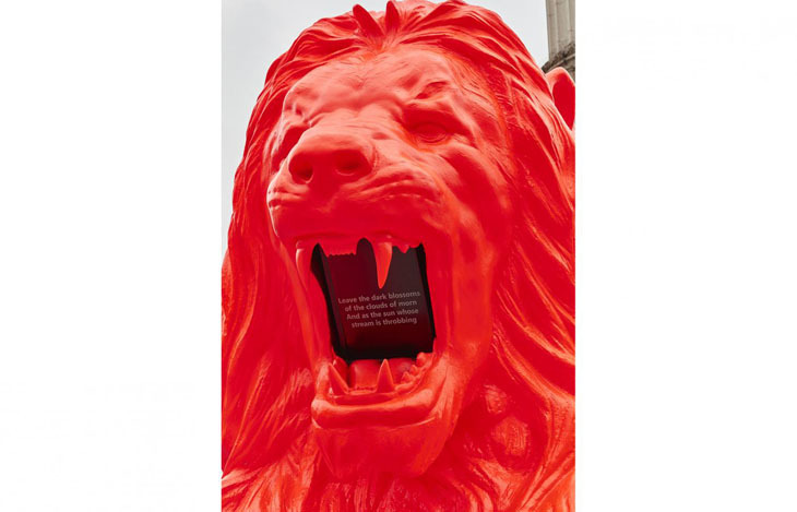 feed_lions_cropped_4.jpg