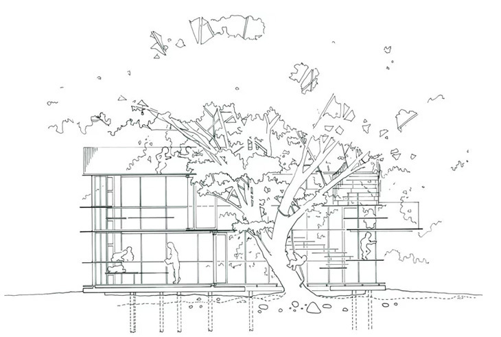 tezukaarchitects06.jpg
