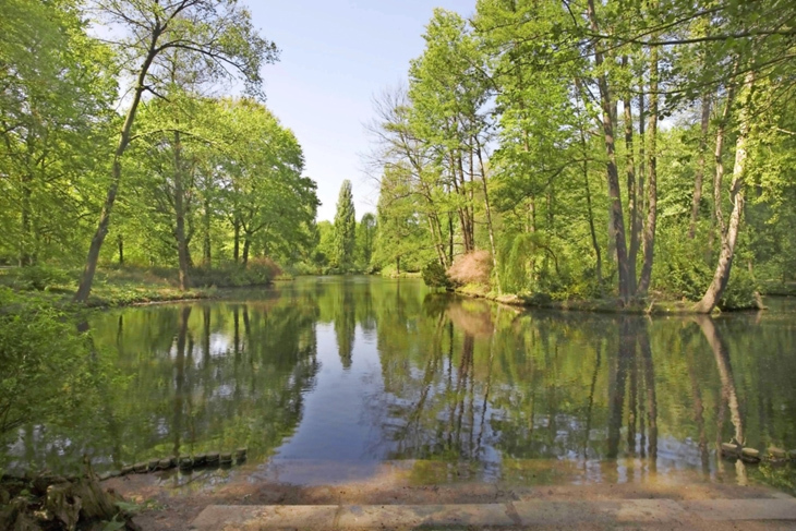 tiergarten1_.jpg