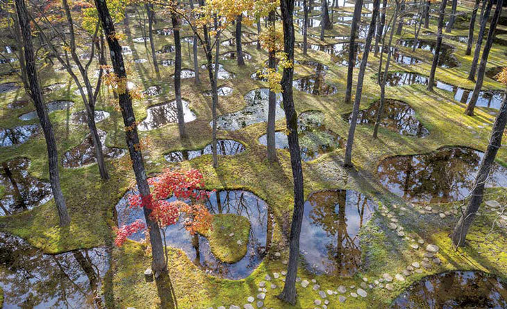 Junya-Ishigami_WaterGarden_02.jpg