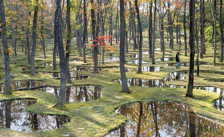 Junya-Ishigami_WaterGarden_03.jpg