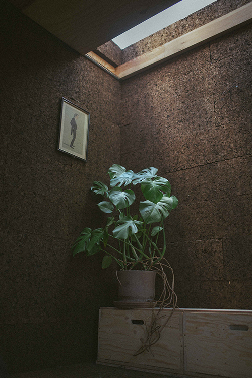 cork_7.jpg
