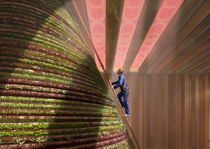 dutch-pavilion-dubai-expo-2020_01.jpg