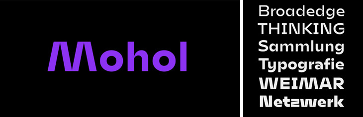 mohol4.jpg