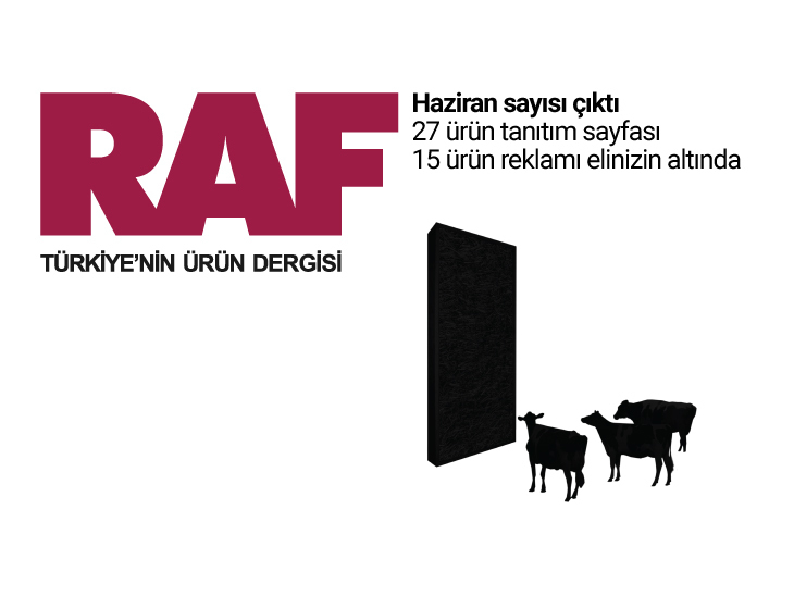 RAF80_730px.jpg