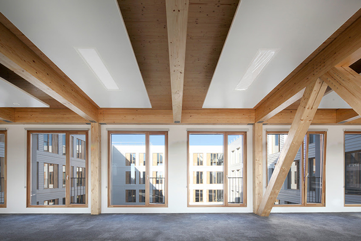 TERENEO_Offices_4.jpg