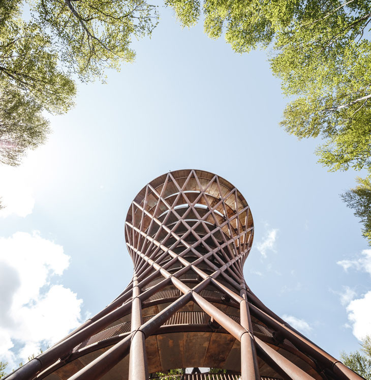 campadventure_effekt_2019 (1).jpg