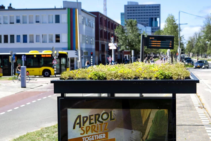 utrecht_bee_2.jpg