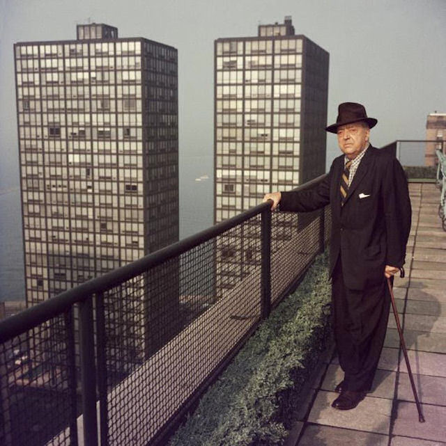 Mies van der Rohe ve Mies van der Rohe ve Lake Shore Drive Apartmanları