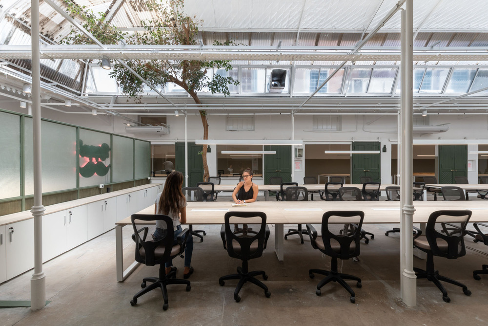 09022019 - OCTAVA ARQUITECTURA ph G Viramonte-8476.jpg