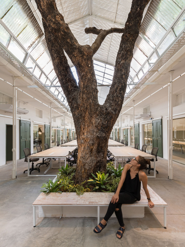 09022019 - OCTAVA ARQUITECTURA ph G Viramonte-8509.jpg