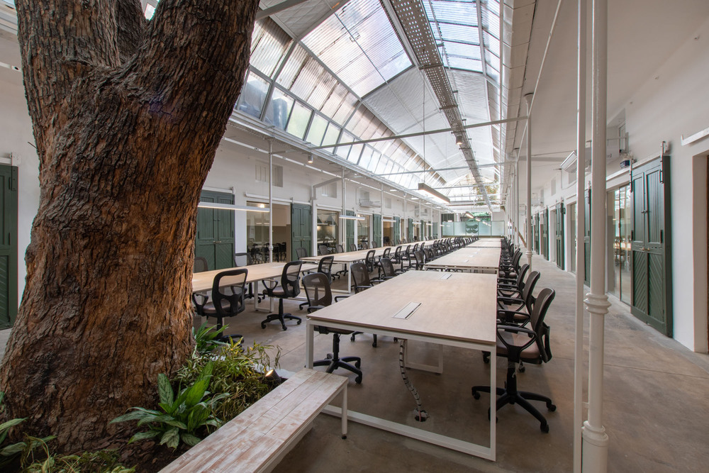 09022019 - OCTAVA ARQUITECTURA ph G Viramonte-8518-HDR.jpg