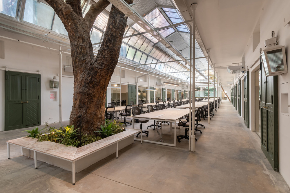 09022019 - OCTAVA ARQUITECTURA ph G Viramonte-8528-HDR.jpg