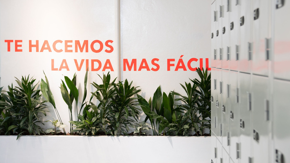 09022019 - OCTAVA ARQUITECTURA ph G Viramonte-8723.jpg