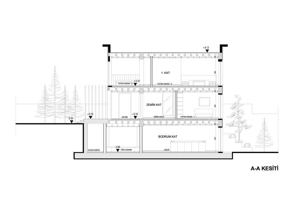 b evi (50).jpg